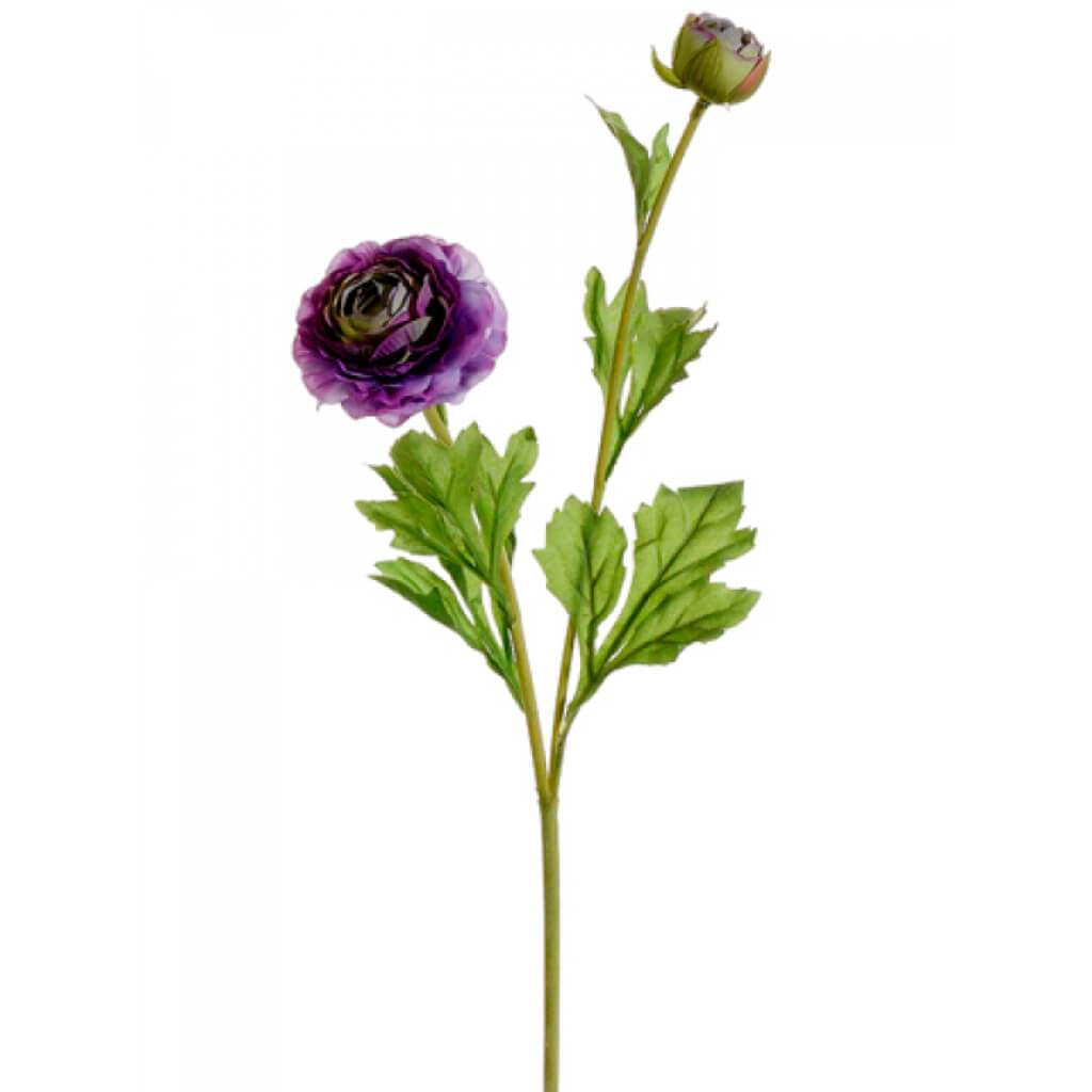 Ranunculus Spray Amethyst 25.5&quot; 