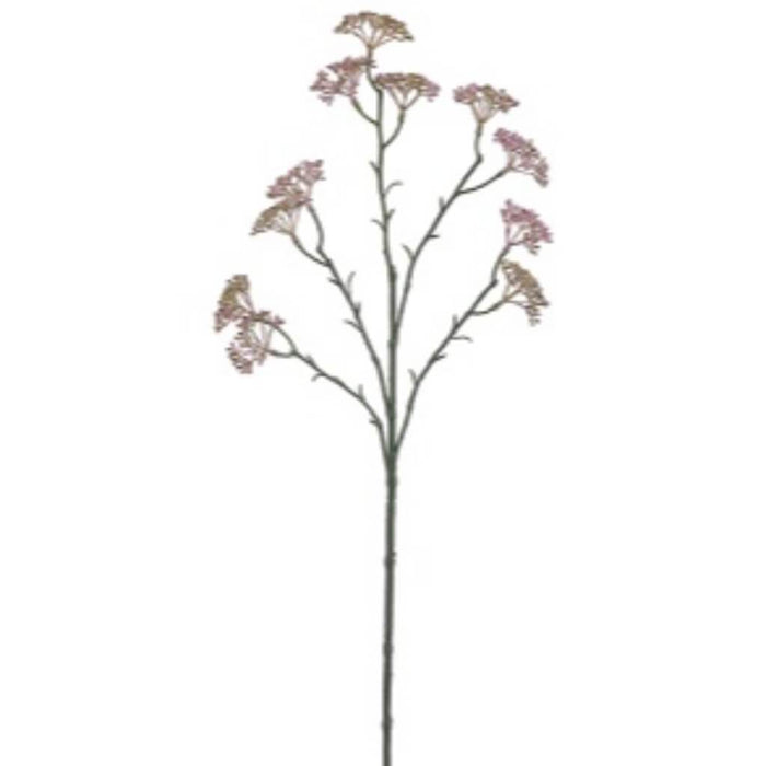 25"SEDUM SPRAY MV/GR 