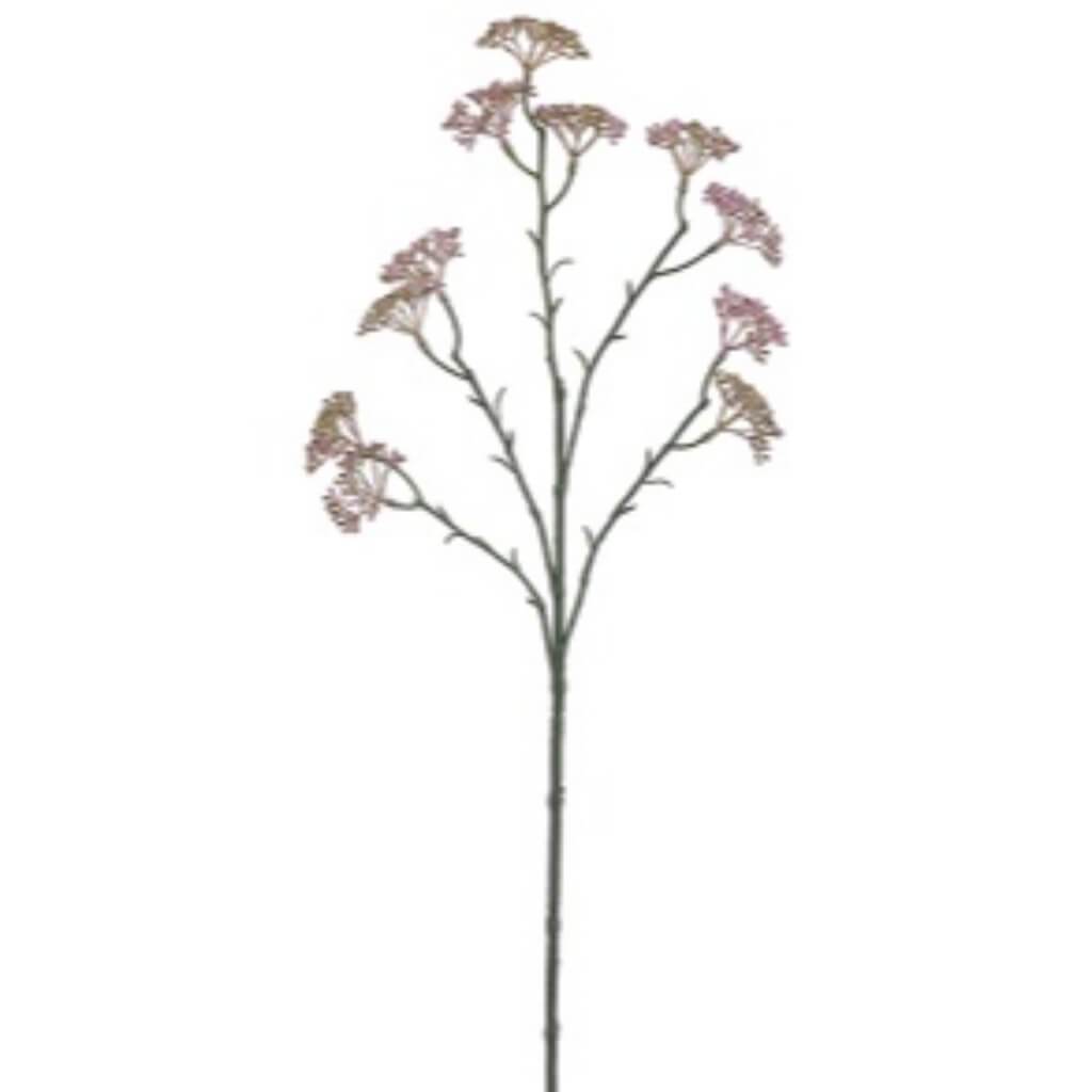 25"SEDUM SPRAY MV/GR 