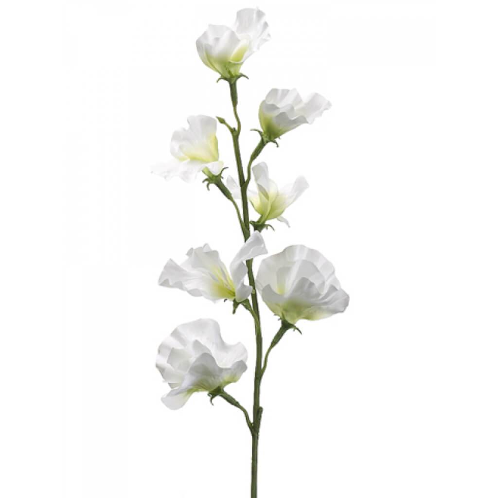 Sweet Pea Spray 22&quot; Cream 