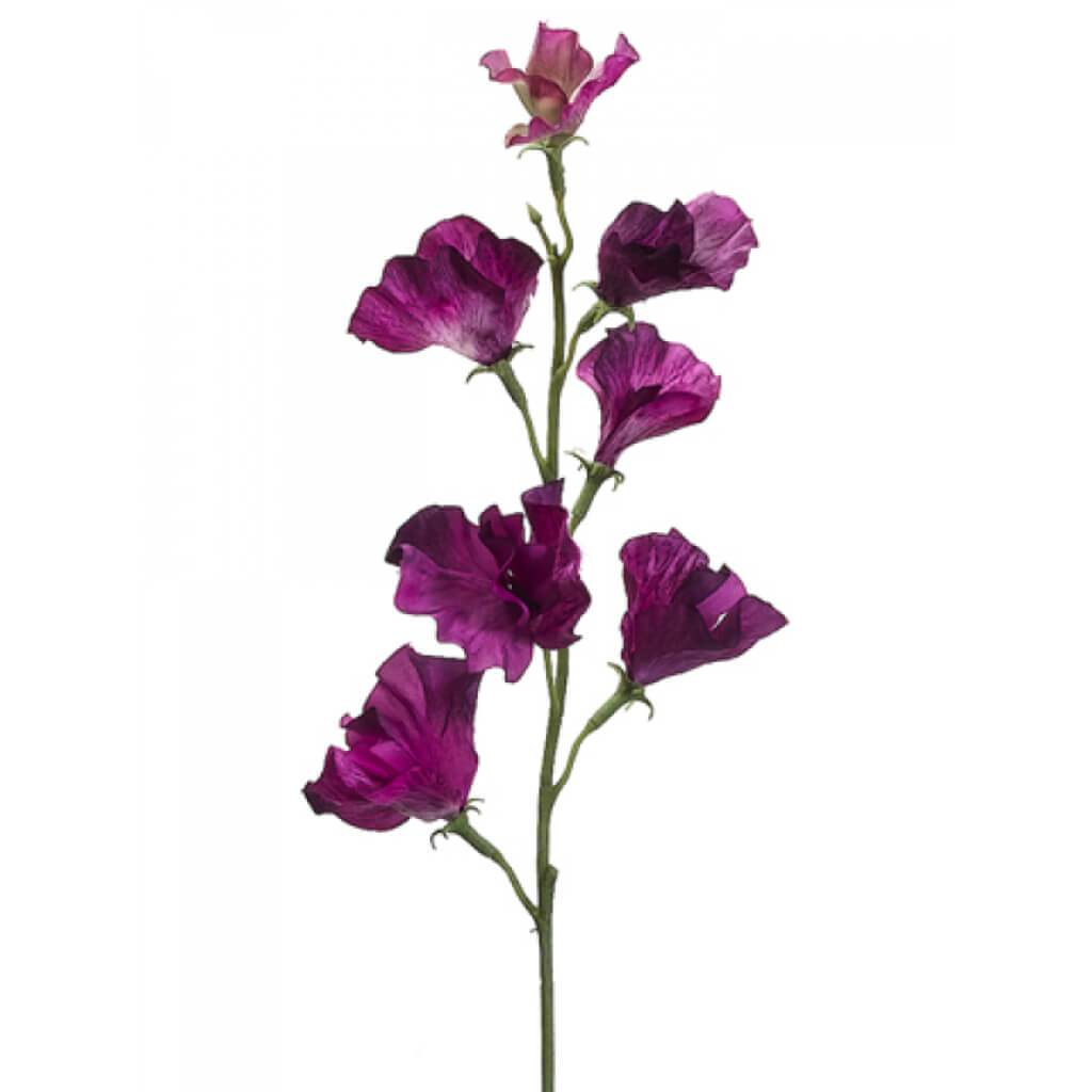 Sweet Pea Spray 22&quot; Dark Orchid 