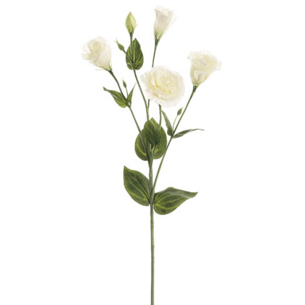 Lisianthus Spray 30in with 4 Flower 1 Bud and 11 Leaves Cream White 