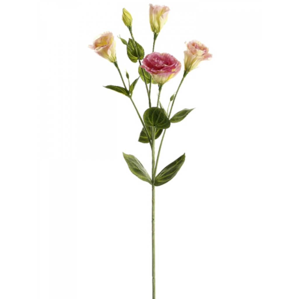 Lisianthus Spray 30&quot; Two Tone Pink 