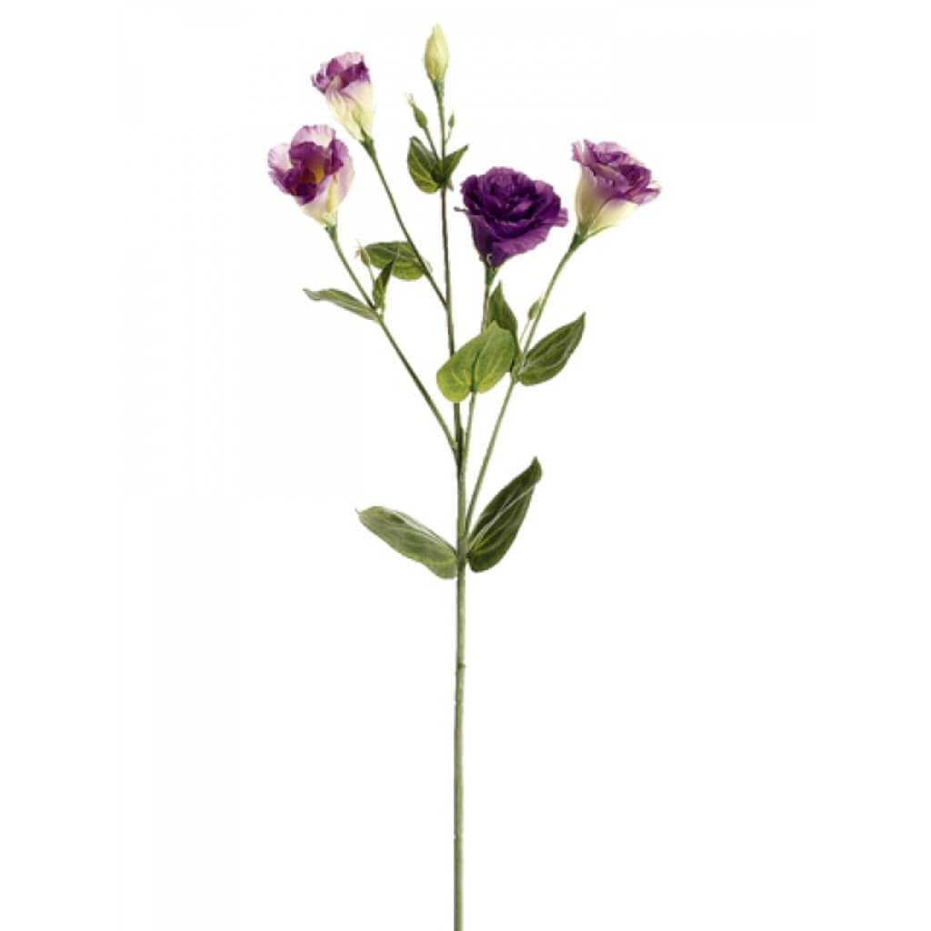 Lisianthus Spray 30&quot; Two Tone Purple 