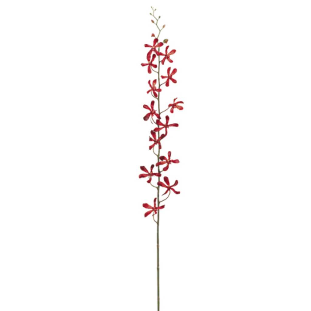 Vanda Orchid Spray 42&quot; Red 