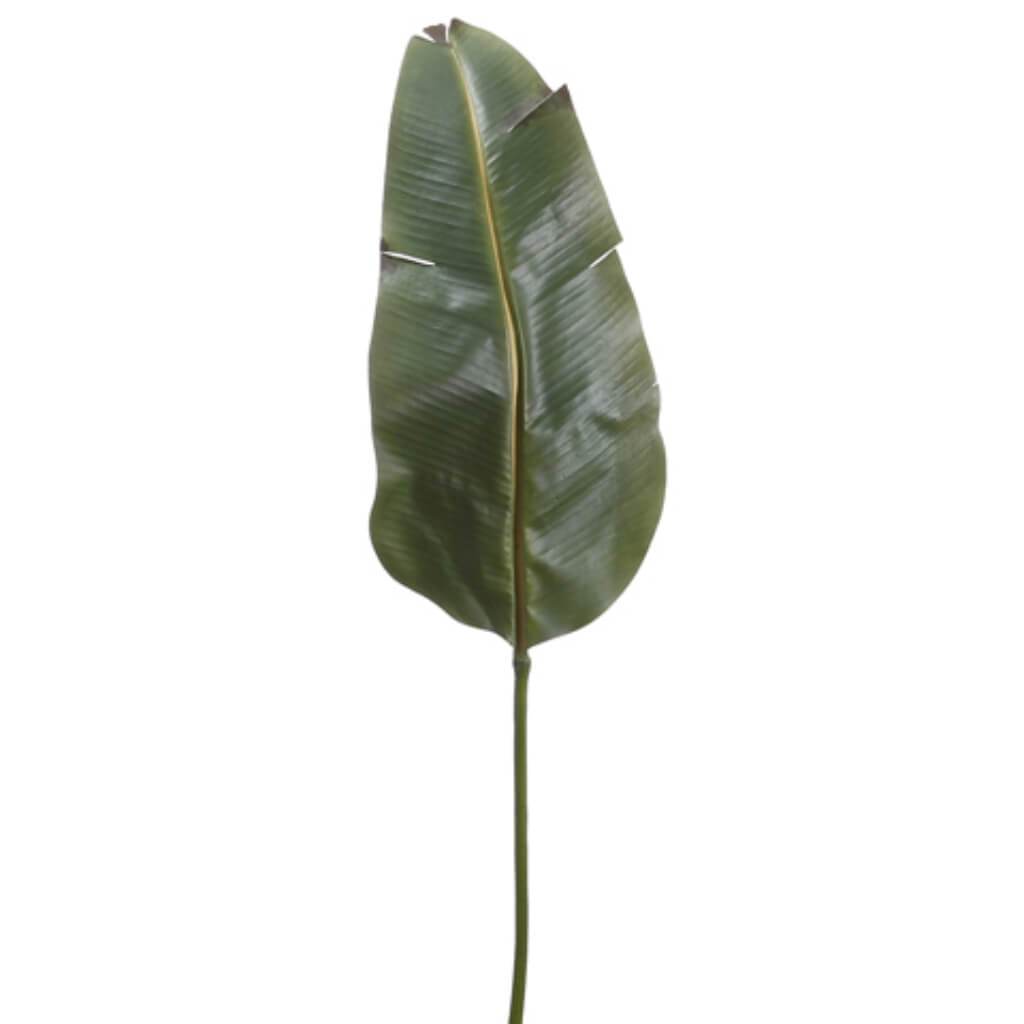 46in BANANA LEAF SPRAY GREEN 