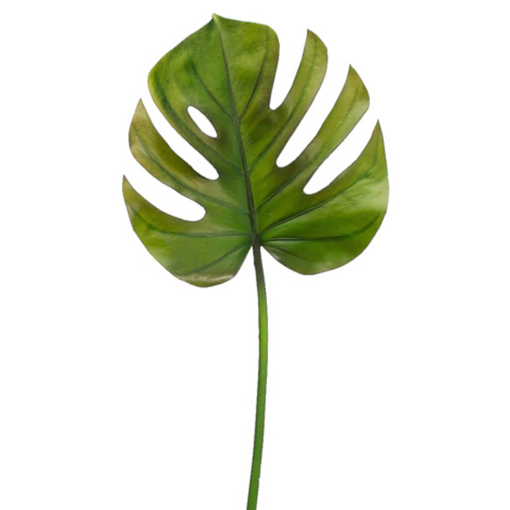 Split Philodendron Leaf Spray 26in Green Burgundy 