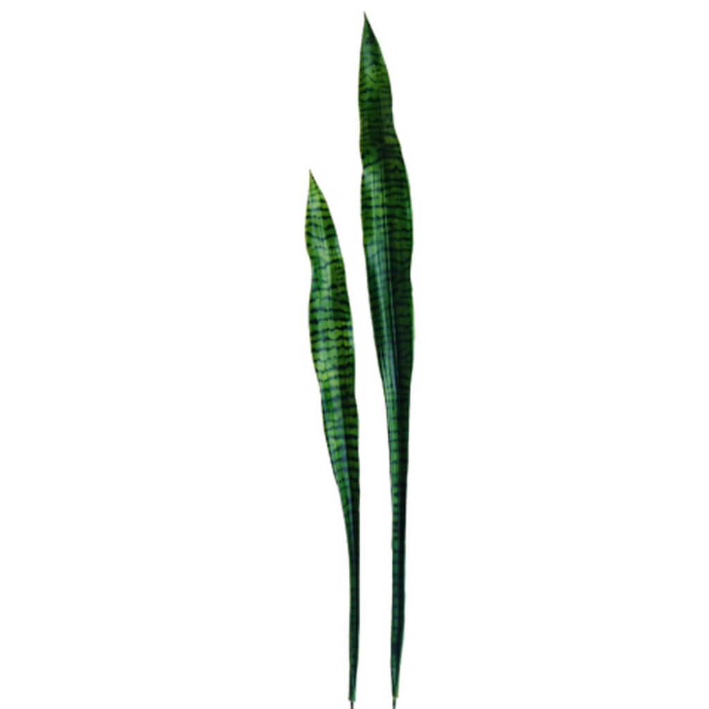 35.5in-44in SANSEVIERIA LEAF(2/ST 