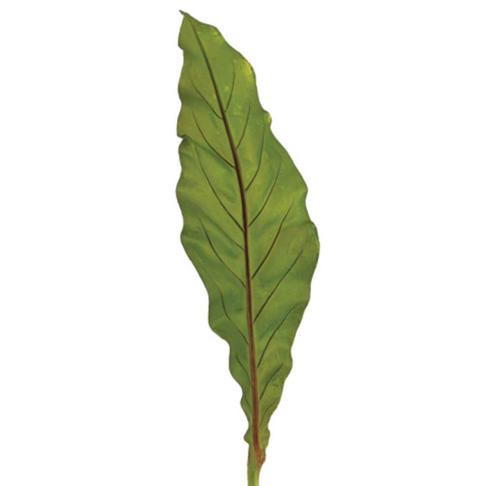 Bird'S Nest Fern Leaf 19" Spray Green 