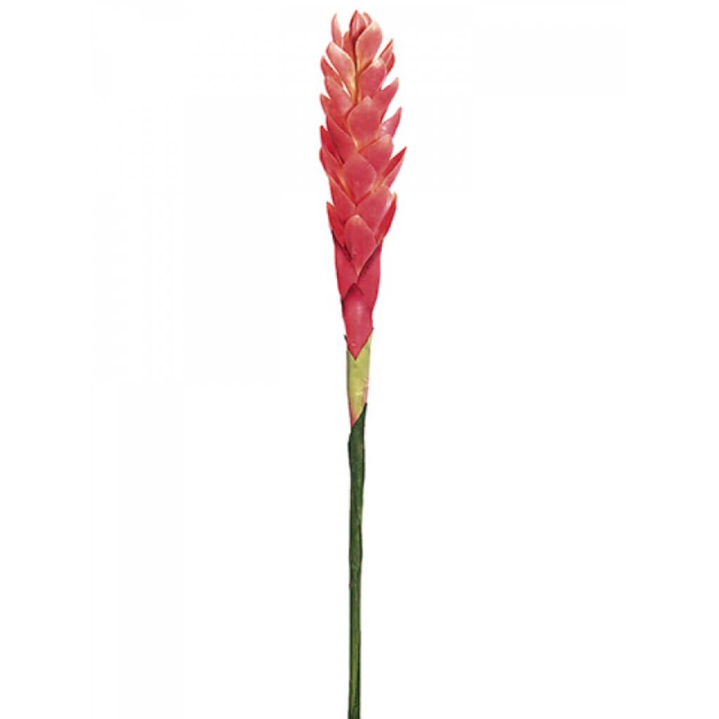 Single Hawaiian Ginger Spray 30in Pink 