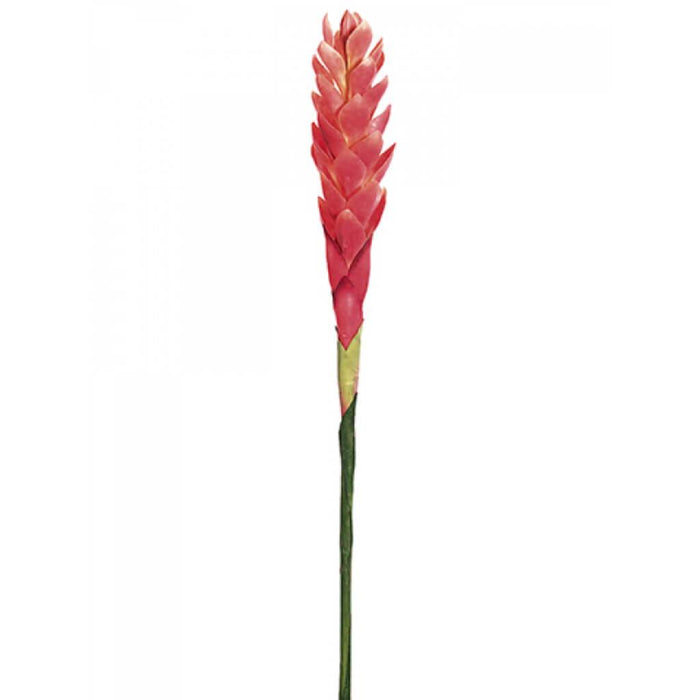 Single Hawaiian Ginger Spray 30in Pink 
