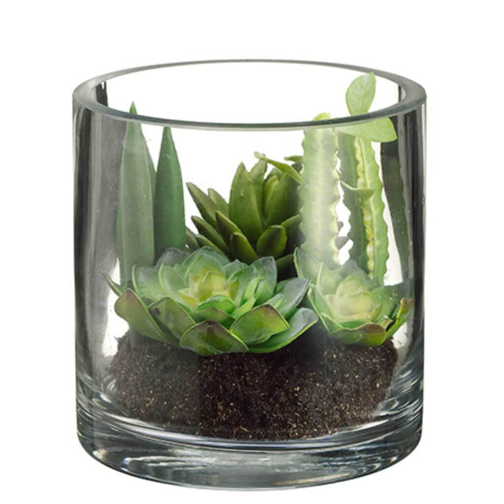 Succulent Garden in Glass Vase Green and Burgundy, 5.5in