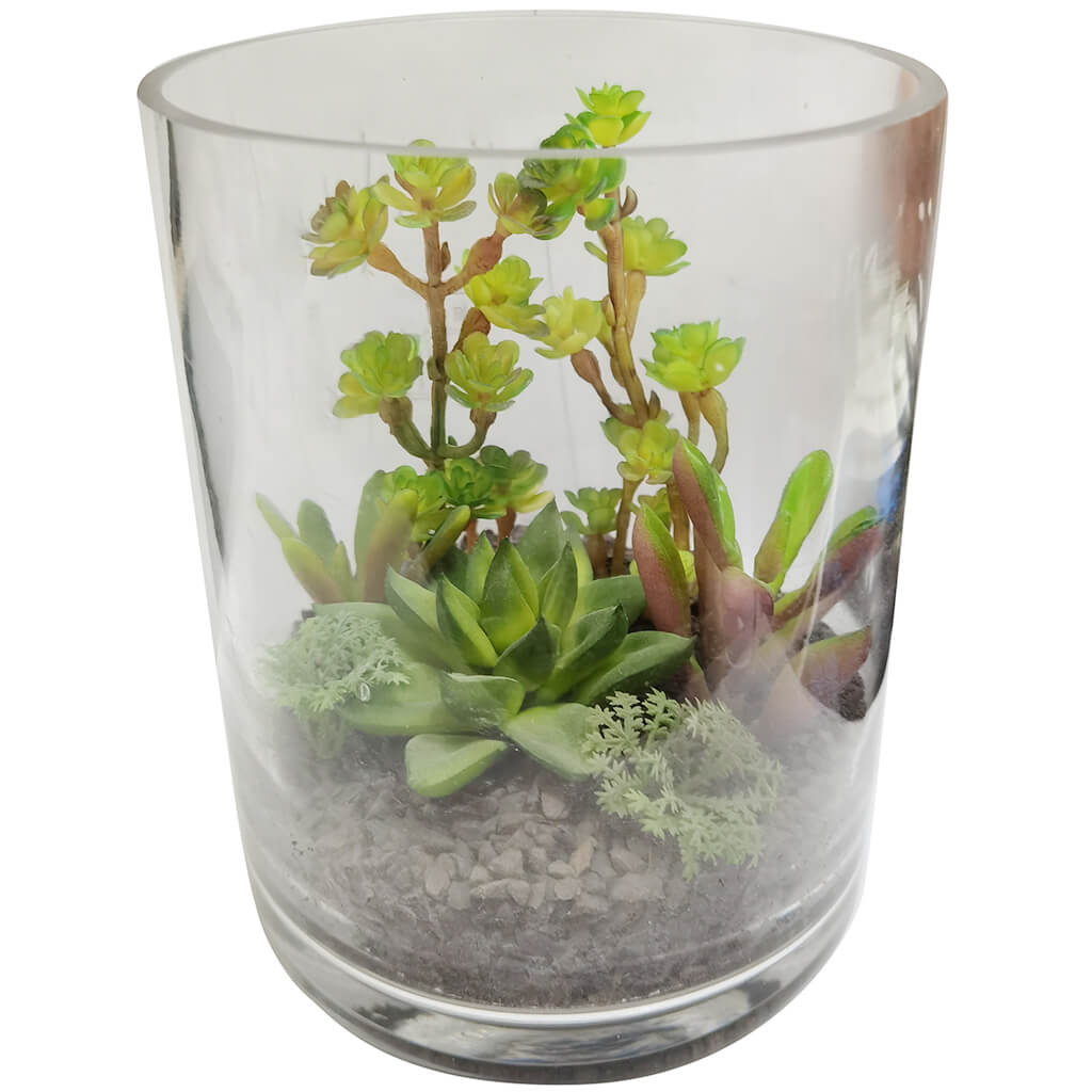 Succulent Garden in Glass, 6.6in H x 4.9in D