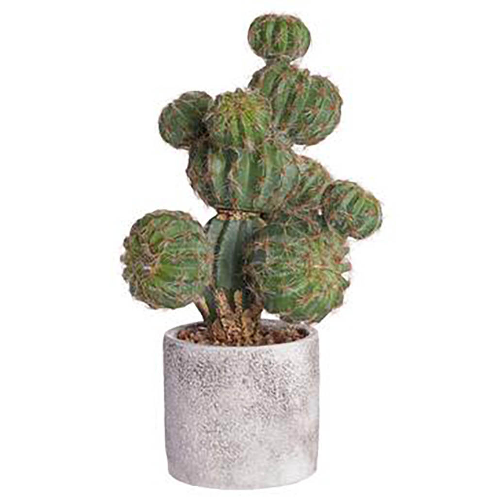 Barrel Cactus in Cement Pot Green, 13in