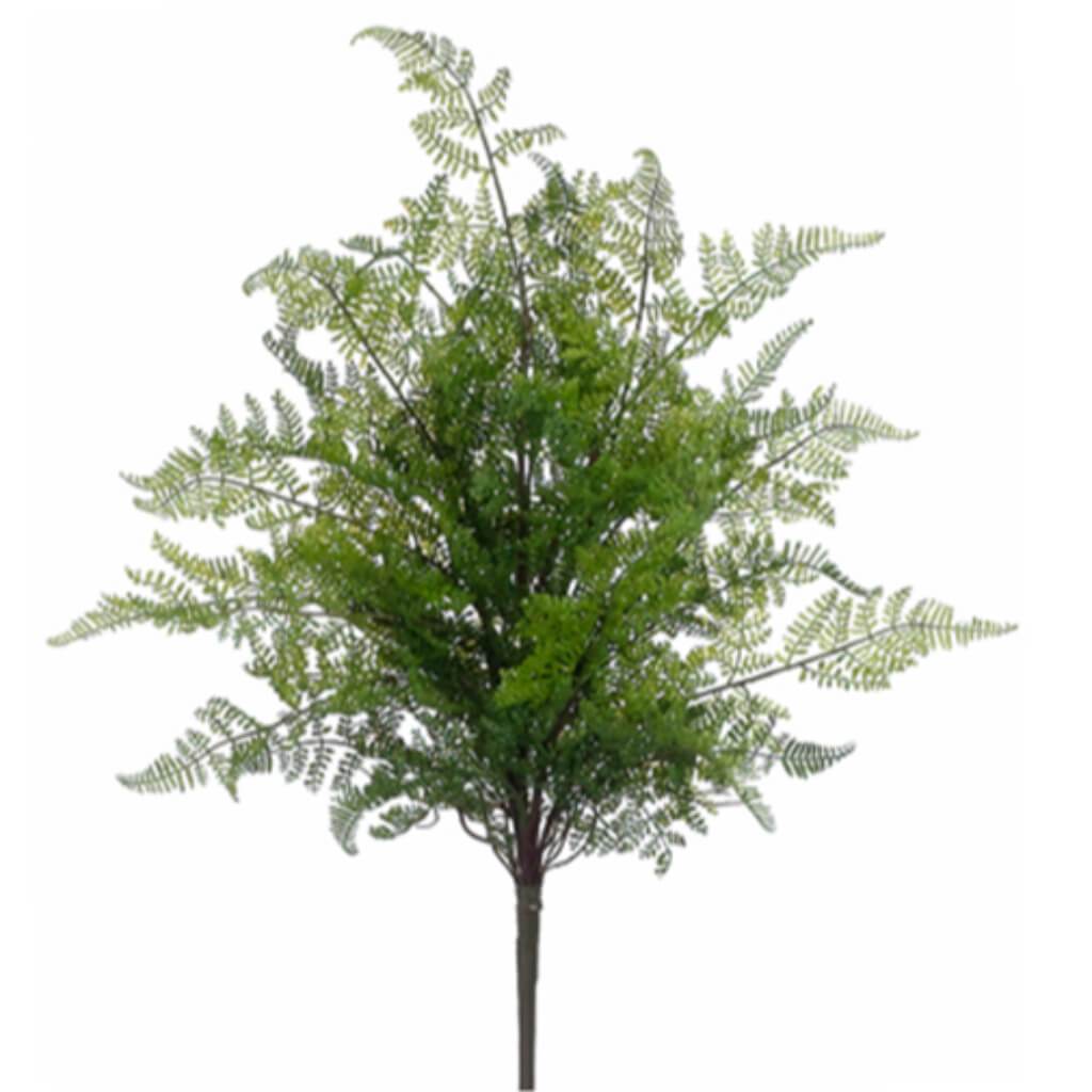 Lace Fern Bush 24&quot; Green 