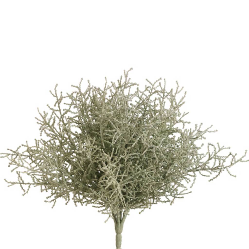 Spanish Moss Bush 10&quot; Green Gray 