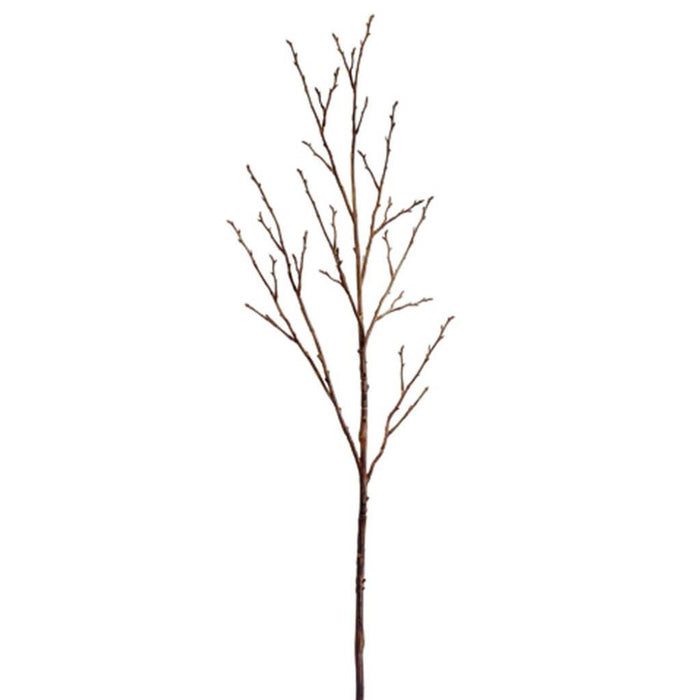 42.5"BUD BRANCH TN 