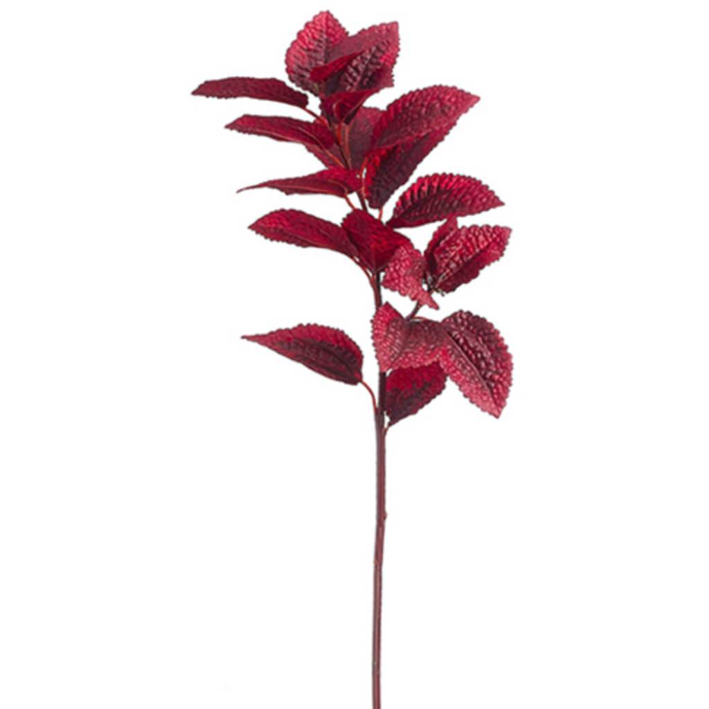 Coleus Spray 20&quot; Burgundy 