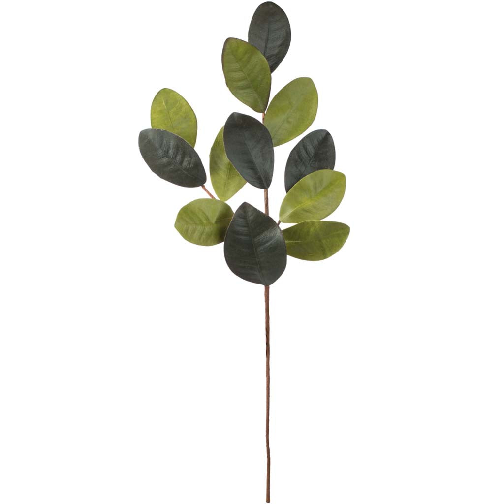 Magnolia Leaf Spray Green 30in