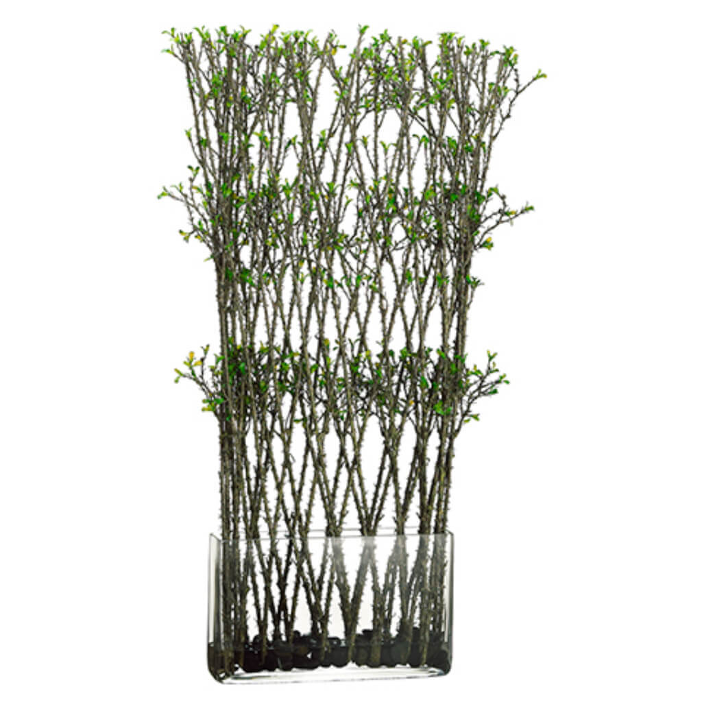 Twig with Mini Leaf in Glass Container, 26in H x 12in W