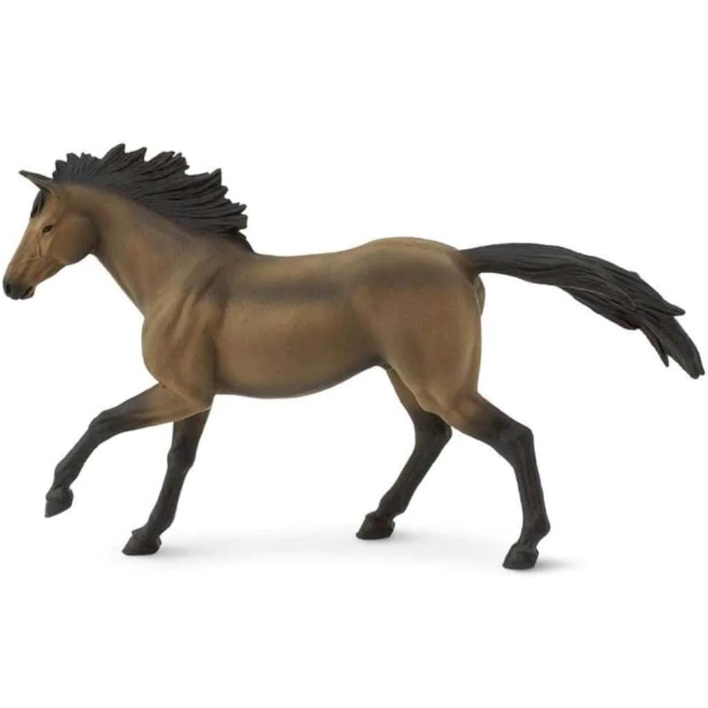 Hanoverian Stallion 