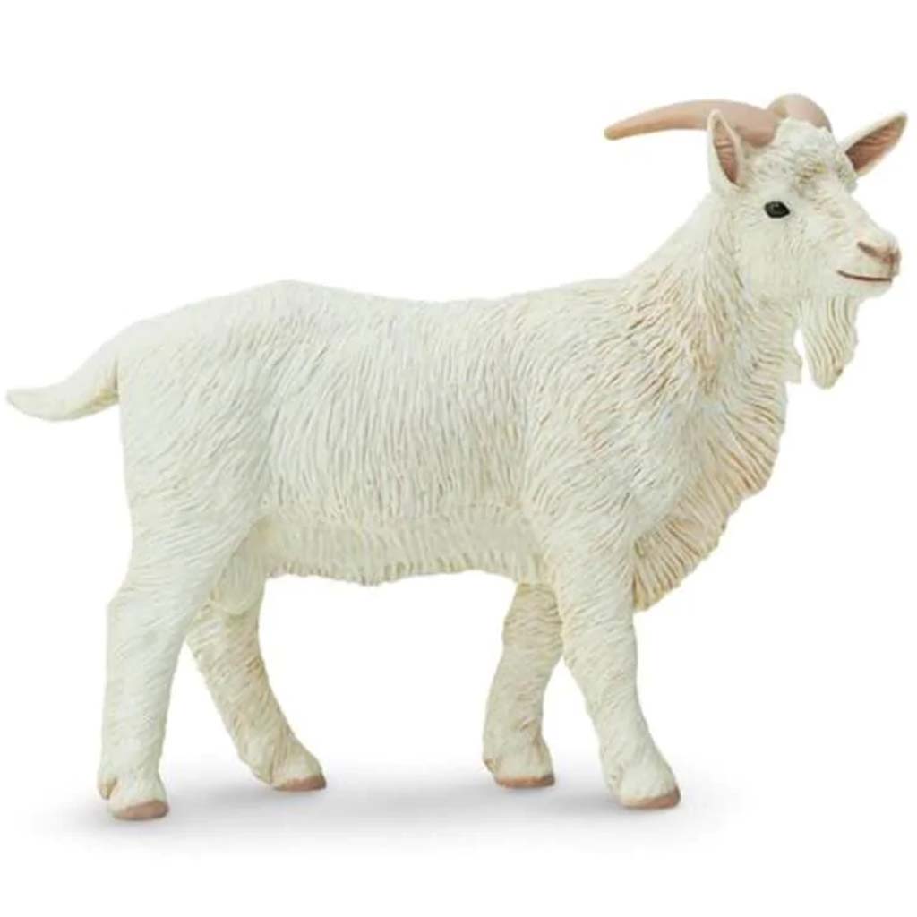 Billy Goat 