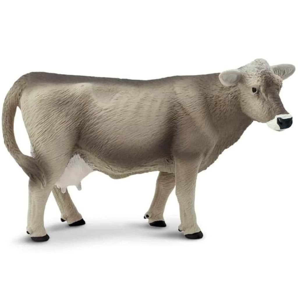 Brown Swiss Cow 