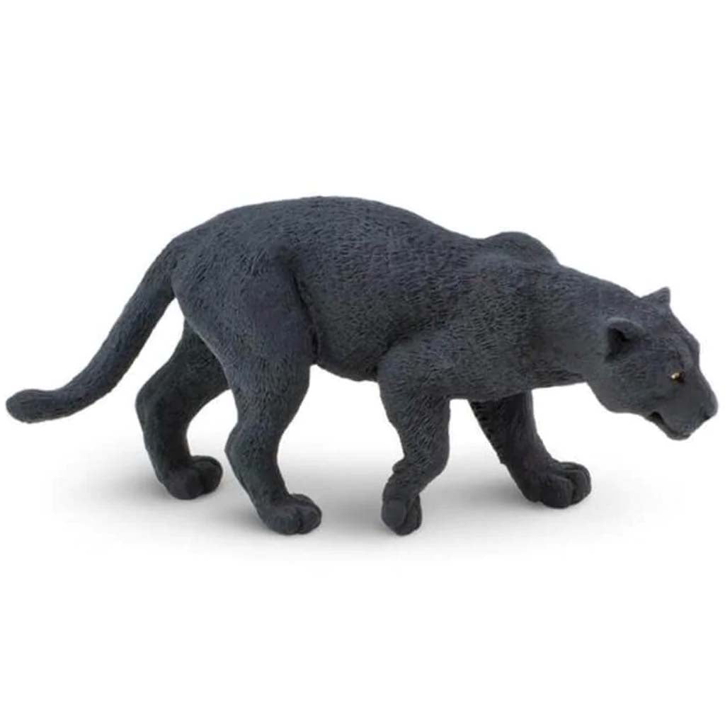 Black Jaguar 