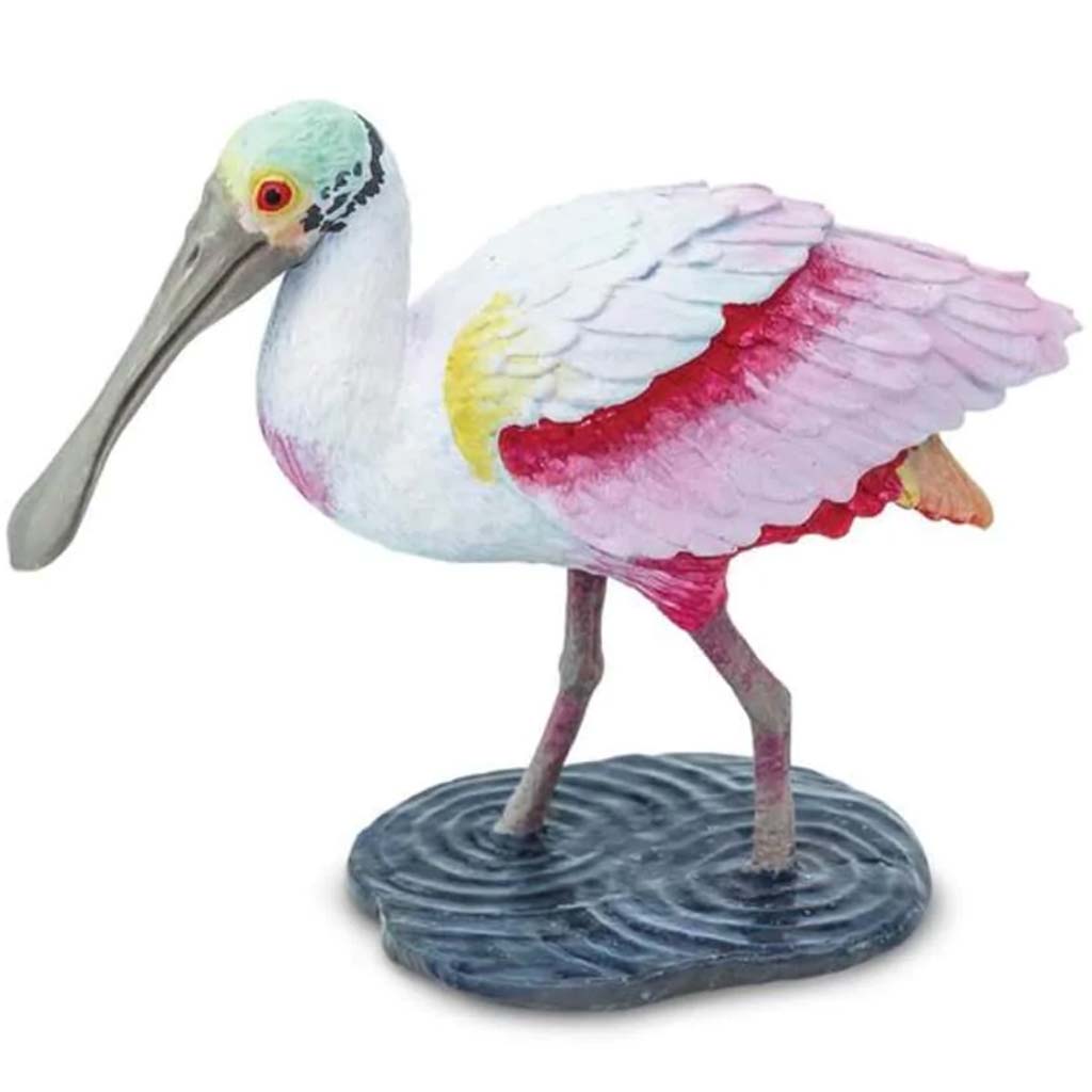 Spoonbill 