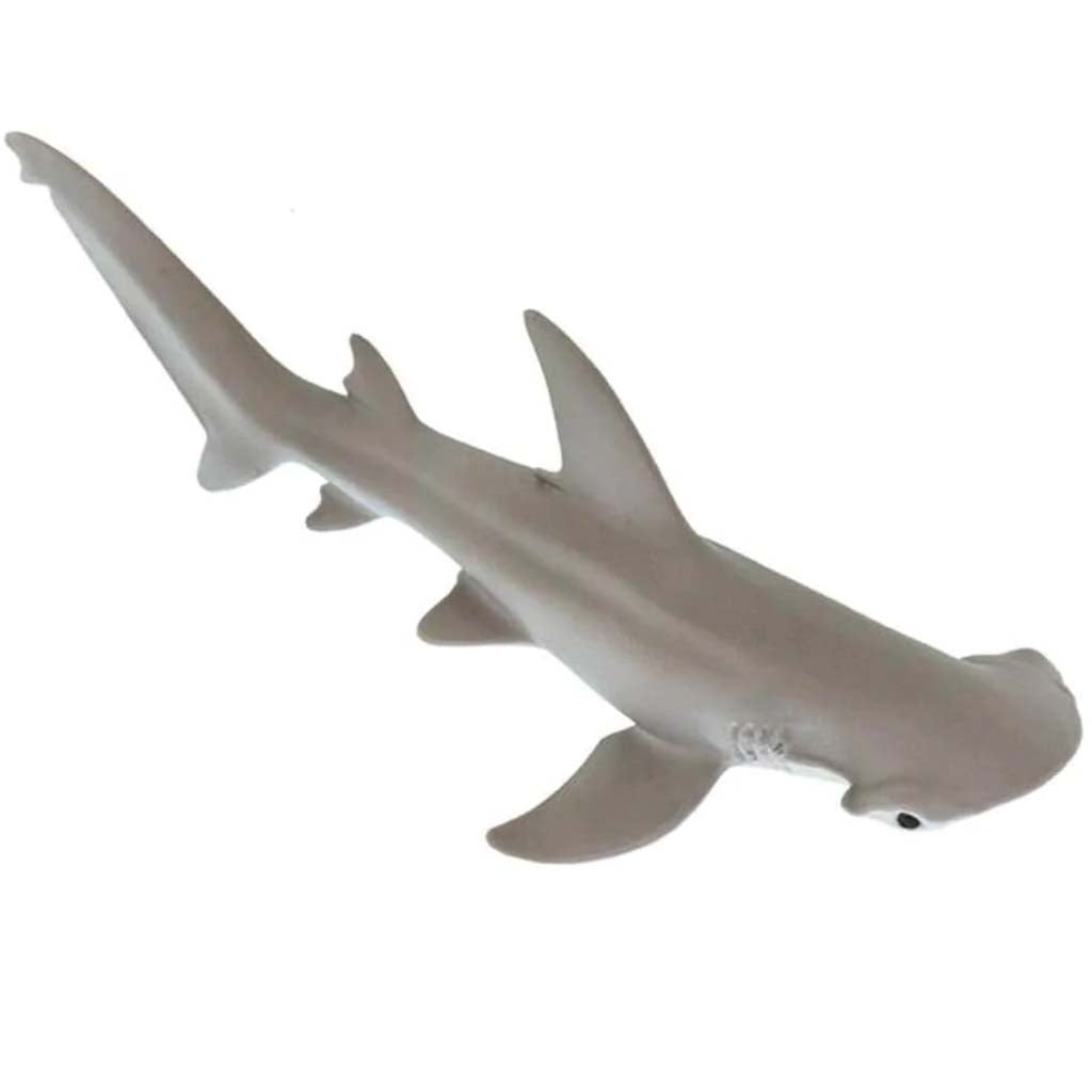 Bonnethead Shark 