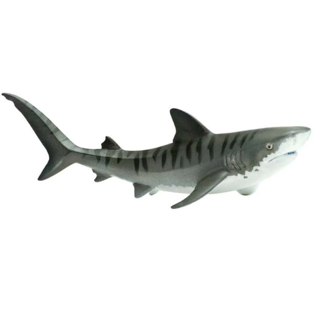 Tiger Shark 