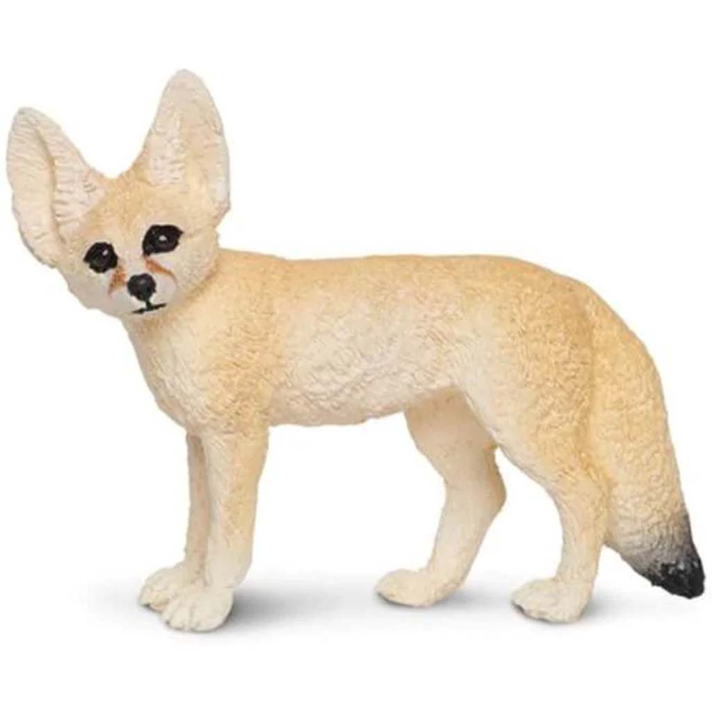 Fennec Fox 