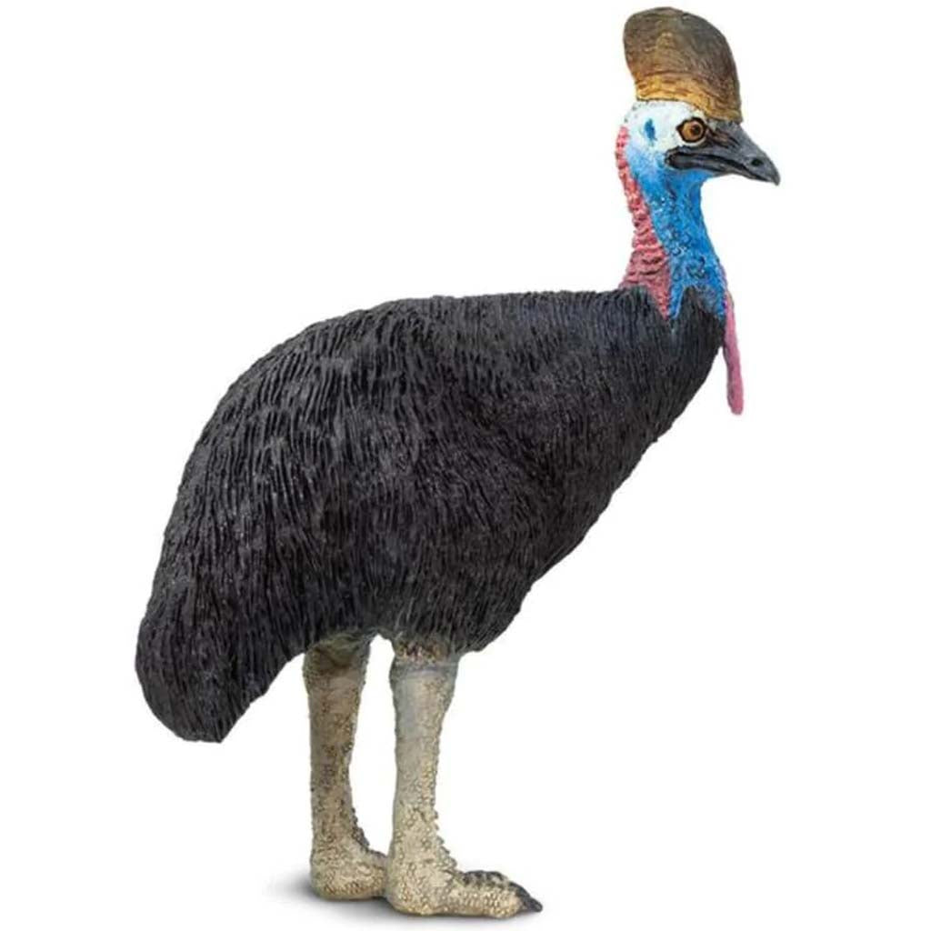 Cassowary 