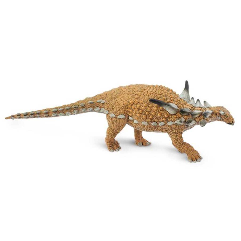 Sauropelta 