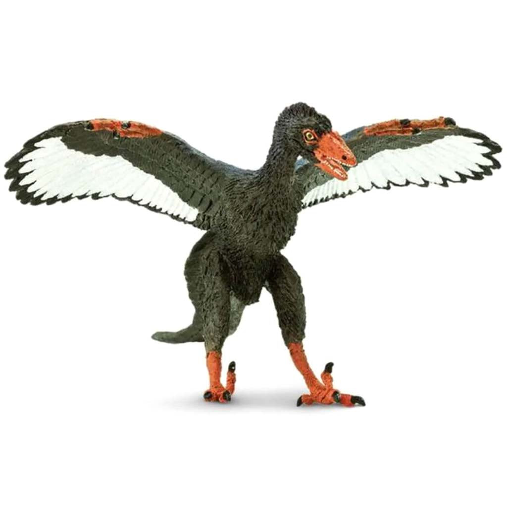 Archaeopteryx 