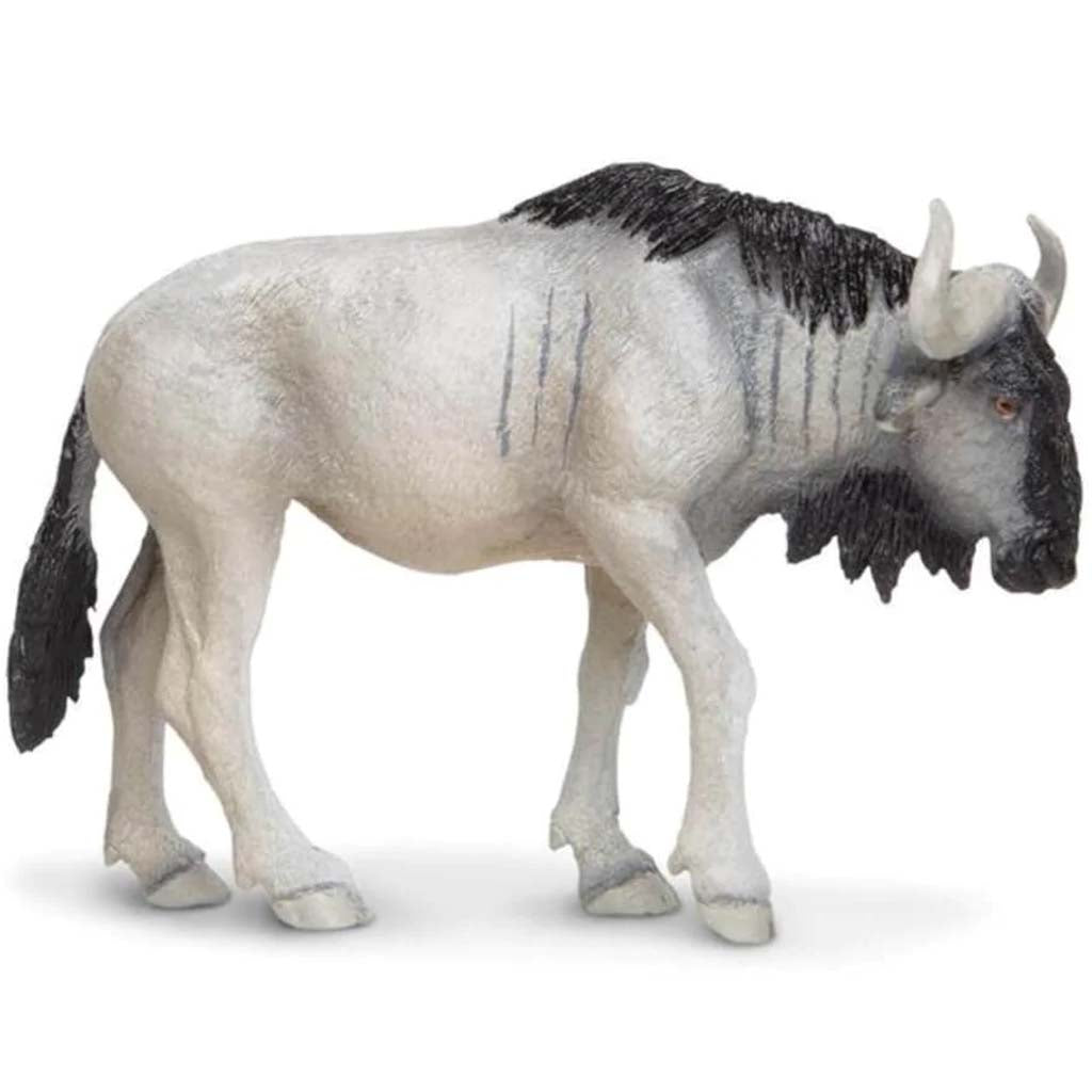 Blue Wildebeest 