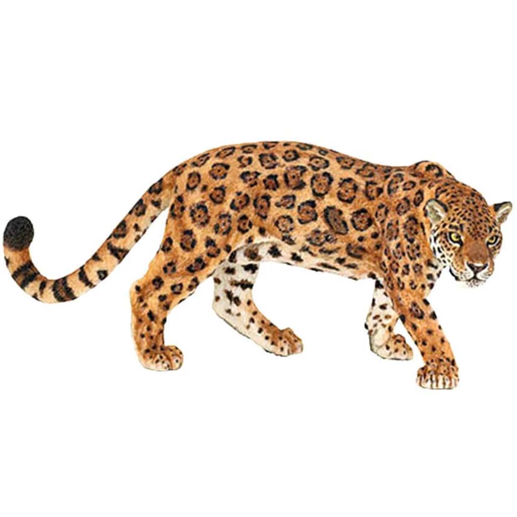 PAPO JAGUAR 