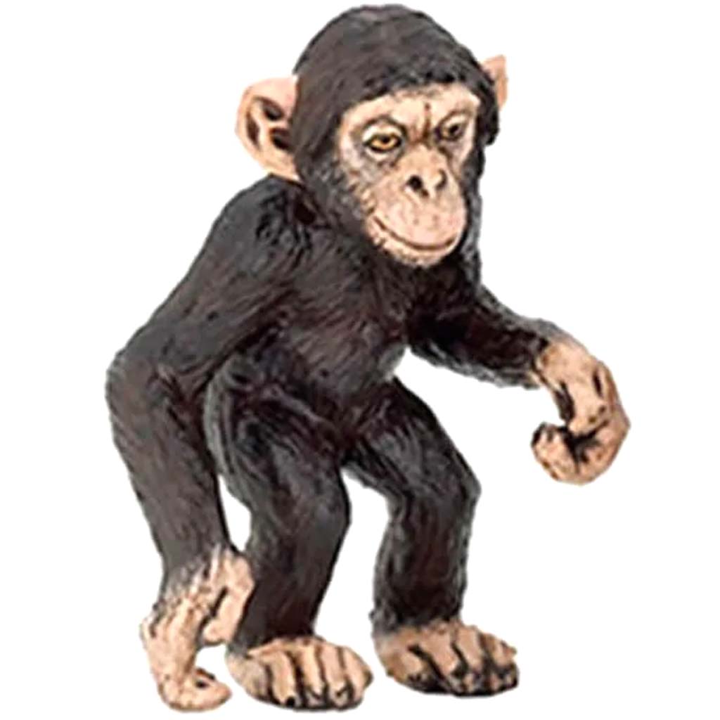 PAPO BABY CHIMPANZEE 