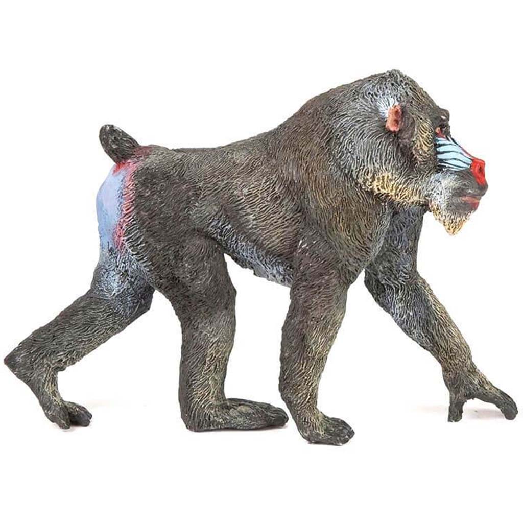 PAPO MANDRILL 