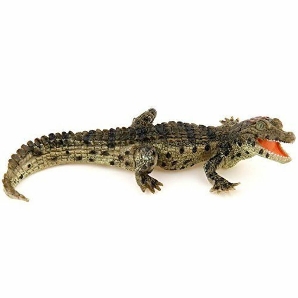 PAPO Baby Crocodile 