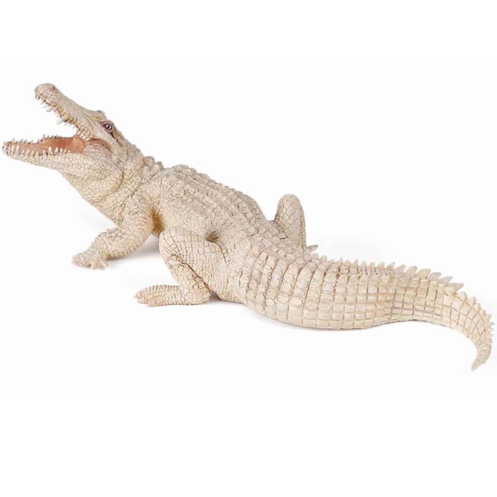 PAPO White Crocodile 