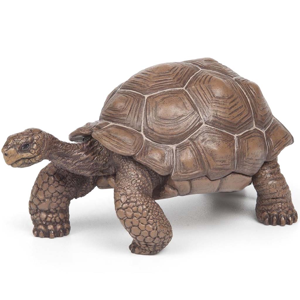 PAPO Galpagos Tortoise 