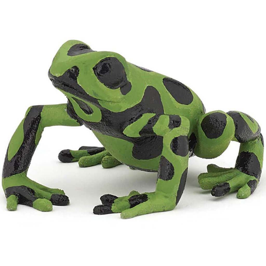 PAPO Equatorial Green Frog 