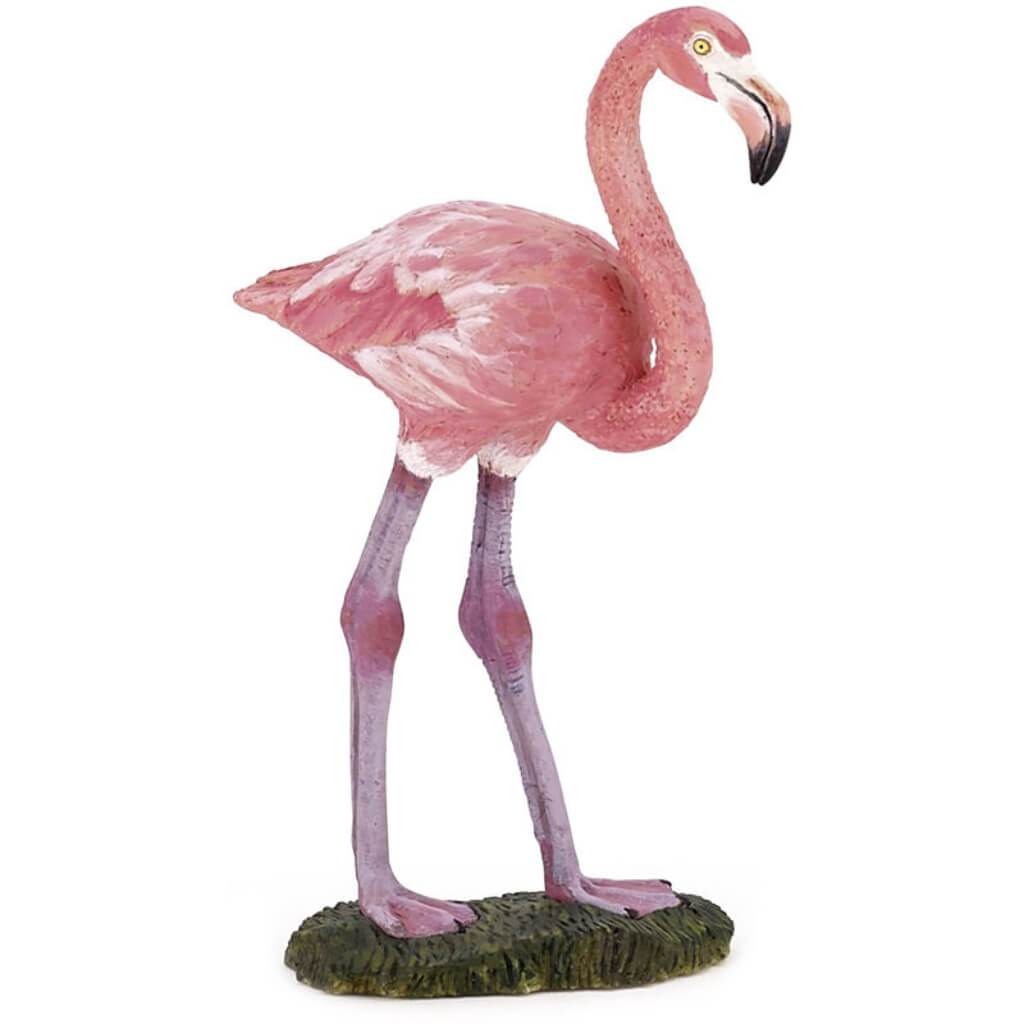 PAPO Greater Flamingo 