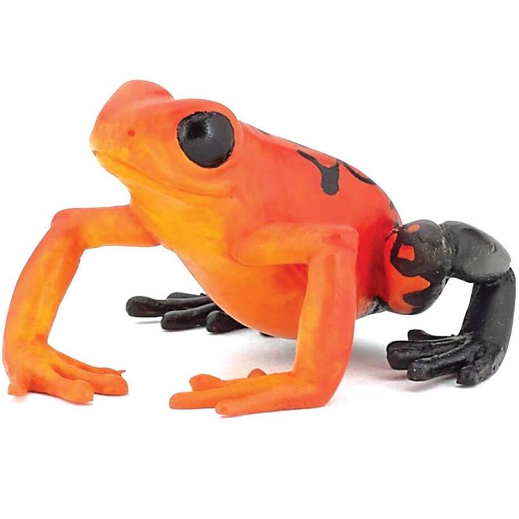 PAPO Equatorial Red Frog 