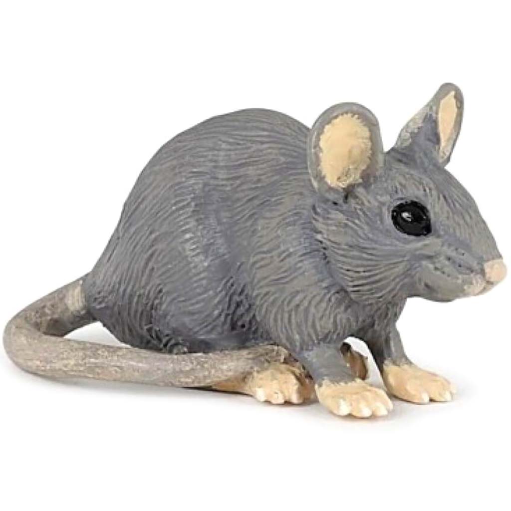 PAPO House Mouse 