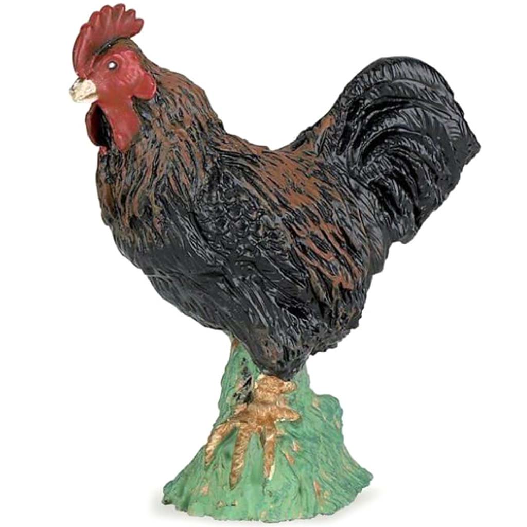 PAPO Rooster 