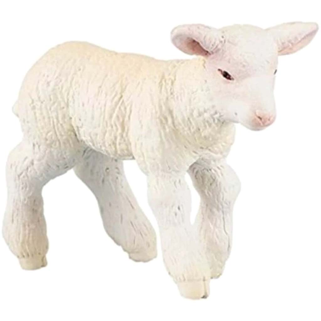 PAPO Merinos Lamb 