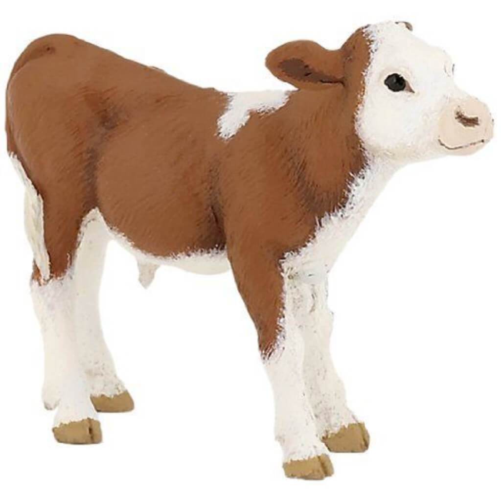 PAPO Simmental Calf 