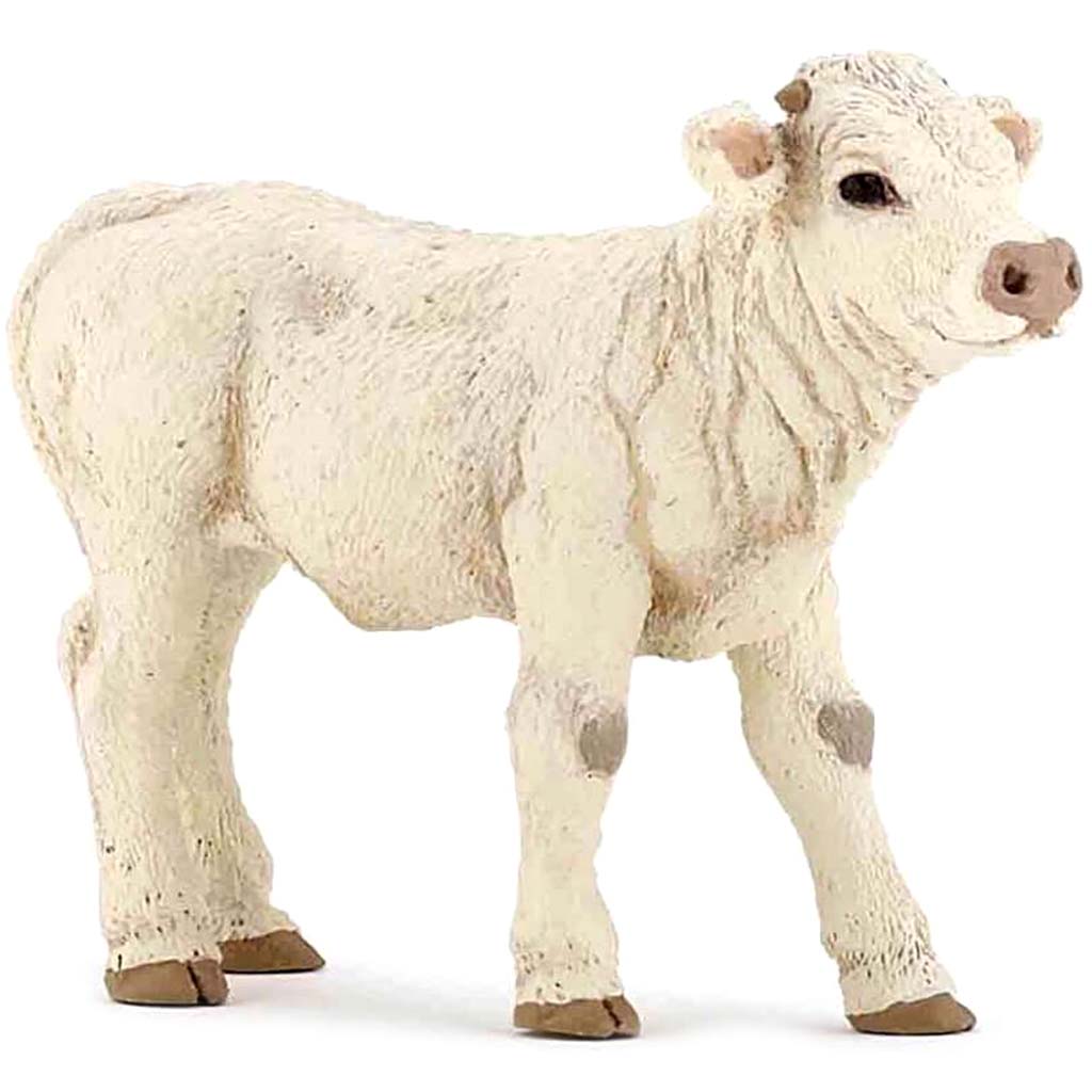 PAPO Charolais Calf 